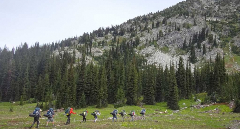 a group of backpackers make their way through a grassy meadow